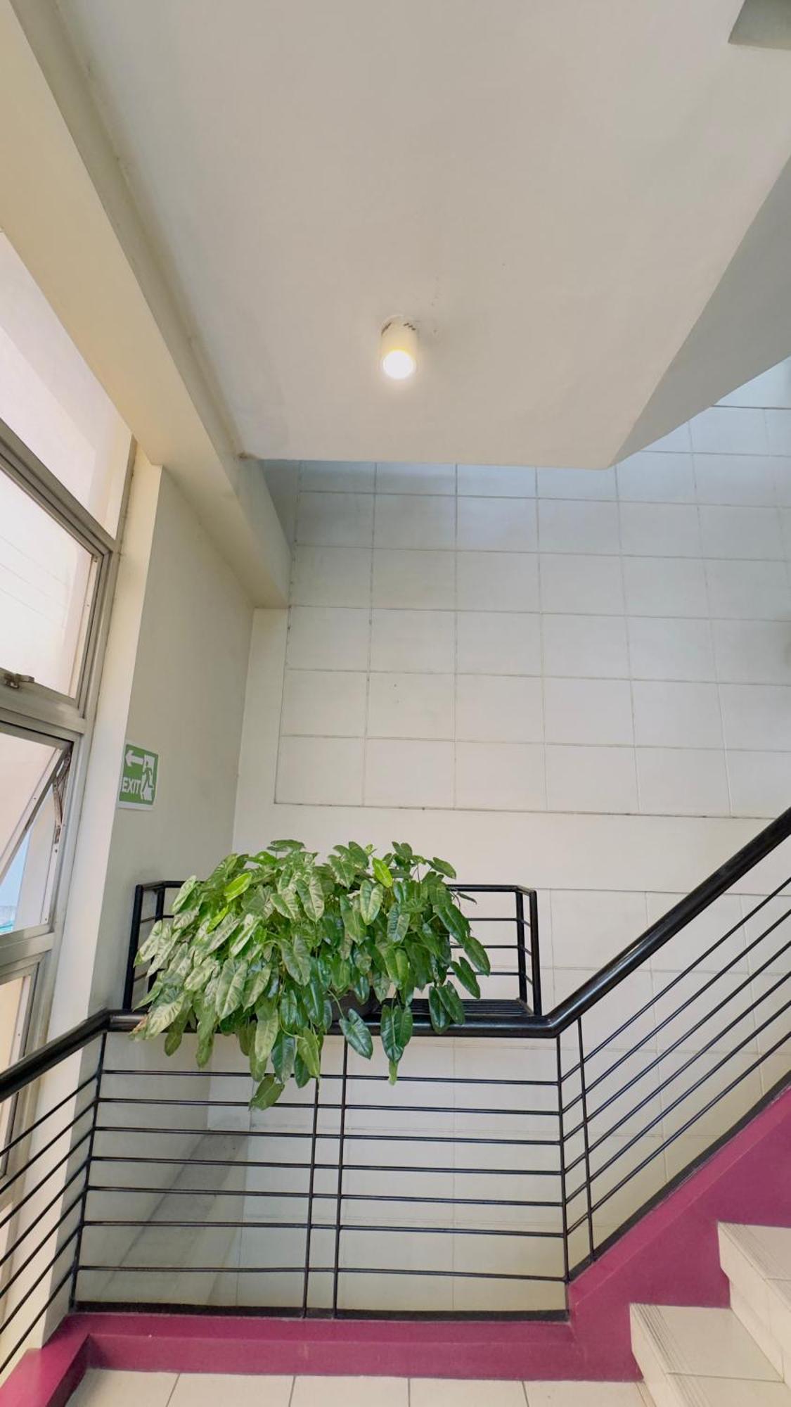 La Anclar Hotel Davao Екстер'єр фото